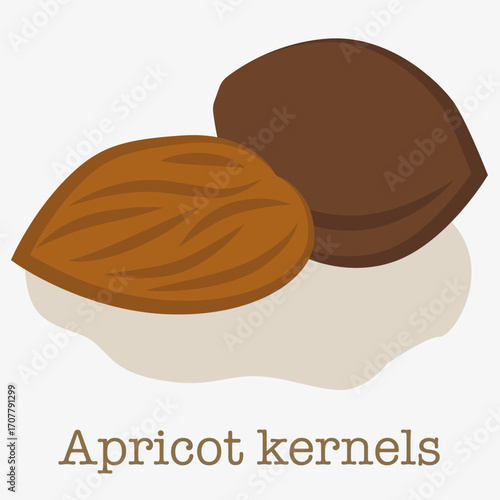 Apricot kernels are a natural product for cooking and cosmetology. For projects related to healthy eating.