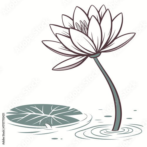 Vector art of elegant water lily, featuring a blooming flower and a floating leaf, symbolizing purity, beauty, and tranquility in a serene and minimalist botanical illustration