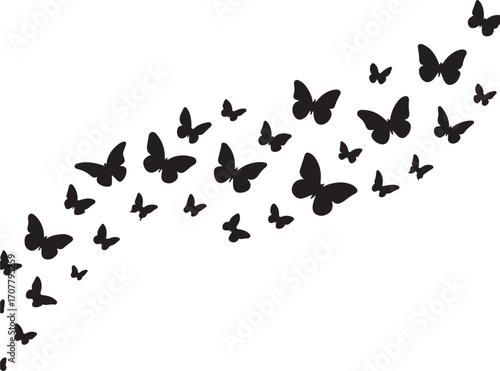 Elegant Butterfly Silhouette Swarm: A graceful formation of silhouette butterflies, gracefully ascending across a pristine background, symbolizing transformation and natural beauty.