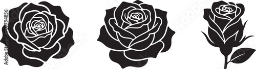 Floral silhouettes: Artistic representation of rose flowers captured in elegant black outlines, creating a striking graphic design.