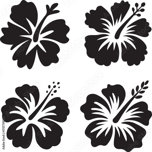 Hibiscus in Silhouette: A quartet of hibiscus blossoms in silhouette, their intricate petals and distinctive stamens captured in stark contrast.