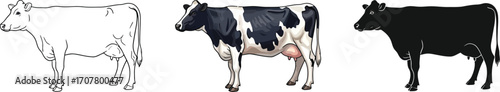 Cow evolution stages illustration from sketch to color to silhouette showing animal transformation