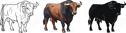 Three stages of a bull from sketch to color to silhouette vector illustration