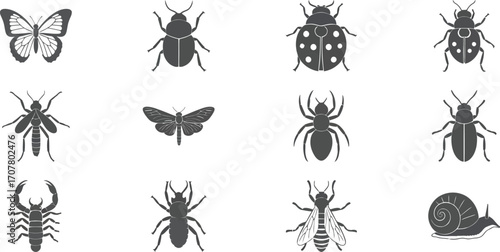 Diverse insect and arachnid silhouettes for educational and design projects