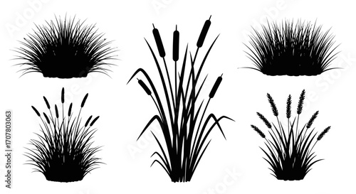 Silhouette illustration of cattails and ornamental grass clumps isolated on a white background.