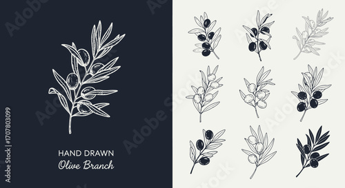 Hand-drawn illustration of olive branches with leaves and olives, presented in a grid layout on contrasting dark and light backgrounds.