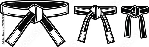 Black belt martial arts karate taekwondo training progression