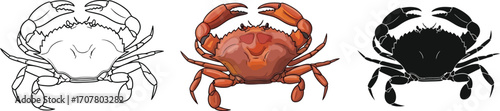 Set of three crab illustrations in outline, color, and silhouette styles