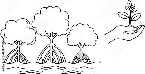 Mangrove forest conservation and reforestation line art vector