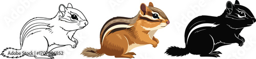 Three chipmunks in outline, color, and silhouette vector illustration