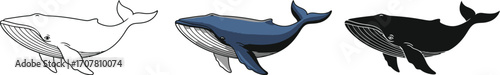 Three whales swimming side by side in line art, color, and silhouette styles