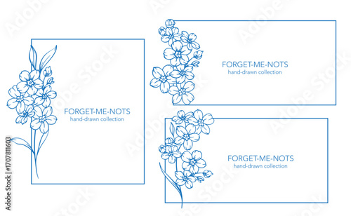 Forget me not flower drawing. Forget-me-not illustration isolated on white background. Floral Line Art Graphics. Hand Drawn Outline Flowers. Botanical Silhouette Drawing. Floral Illustration