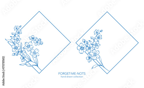 Forget me not flower drawing. Forget-me-not illustration isolated on white background. Floral Line Art Graphics. Hand Drawn Outline Flowers. Botanical Silhouette Drawing. Floral Illustration
