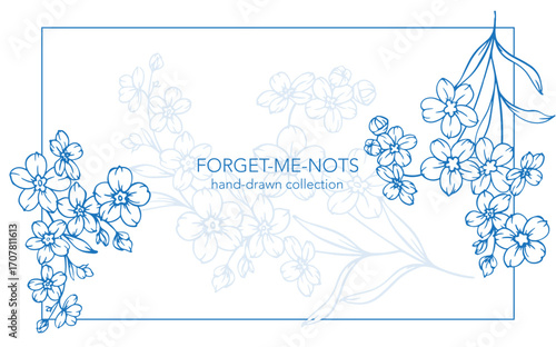 Forget me not flower drawing. Horizontal template with forget-me-nots frame. Floral Line Art Graphics. Hand Drawn Outline Flowers. Botanical Silhouette Drawing. Floral Illustration