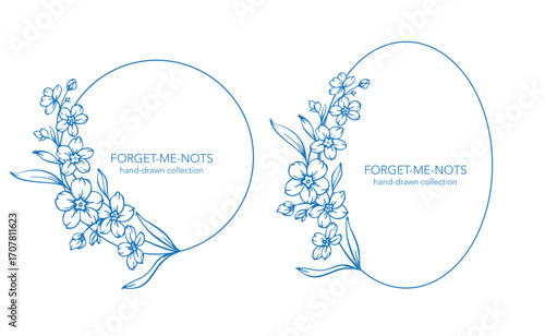Forget me not flower drawing. Forget-me-not illustration isolated on white background. Floral Line Art Graphics. Hand Drawn Outline Flowers. Botanical Silhouette Drawing. Floral Illustration