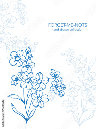 Forget me not flower drawing. Vertical template with forget-me-nots frame. Floral Line Art Graphics. Hand Drawn Outline Flowers. Botanical Silhouette Drawing. Floral Illustration