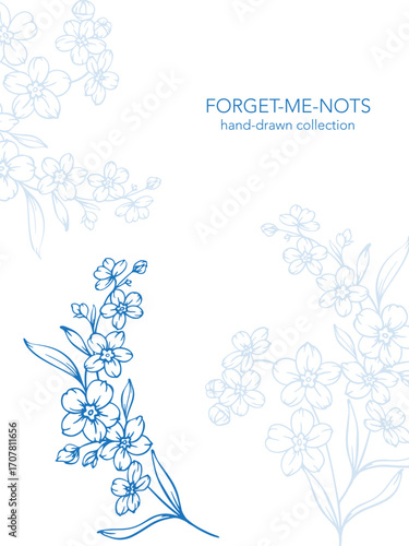 Forget me not flower drawing. Vertical template with forget-me-nots frame. Floral Line Art Graphics. Hand Drawn Outline Flowers. Botanical Silhouette Drawing. Floral Illustration