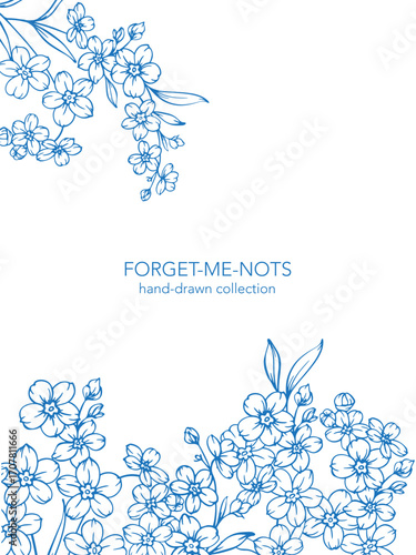 Forget me not flower drawing. Vertical template with forget-me-nots frame. Floral Line Art Graphics. Hand Drawn Outline Flowers. Botanical Silhouette Drawing. Floral Illustration