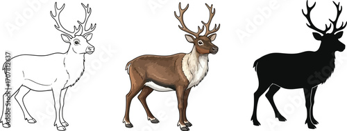 Three reindeer in outline, color, and silhouette illustration