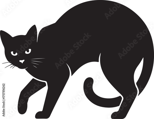 Silhouette of a black cat arched and alert ready to pounce mysterious feline