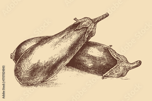 Eggplant illustration in a vintage style. This vector illustration can be used in any size you like for advertising, logos, and other work.