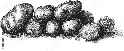 Potato illustration on a white background. This vector illustration can be used in any size you like for advertising, logos, and other work.