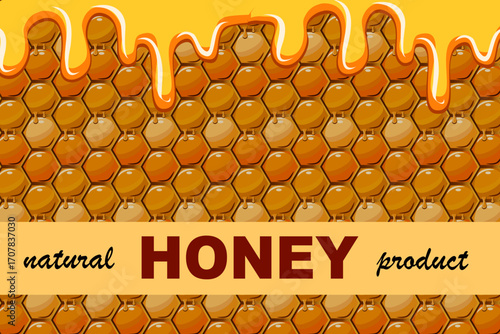 Text in a frame on a honey background.Vector illustration with text in frame on honeycomb background.