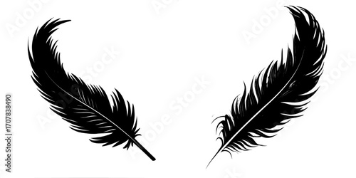 The image features a modern and realistic depiction of a fluffy feather in color, isolated on a transparent background