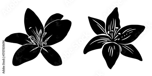 Modern set featuring a tropical black and gold flower on a dark background
