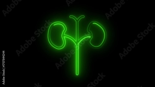 Neon glowing kidney icon illustration on black background.