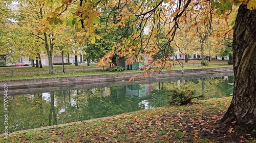 Parc de la Citadelle , Autumn park with trees and river in Lille, France