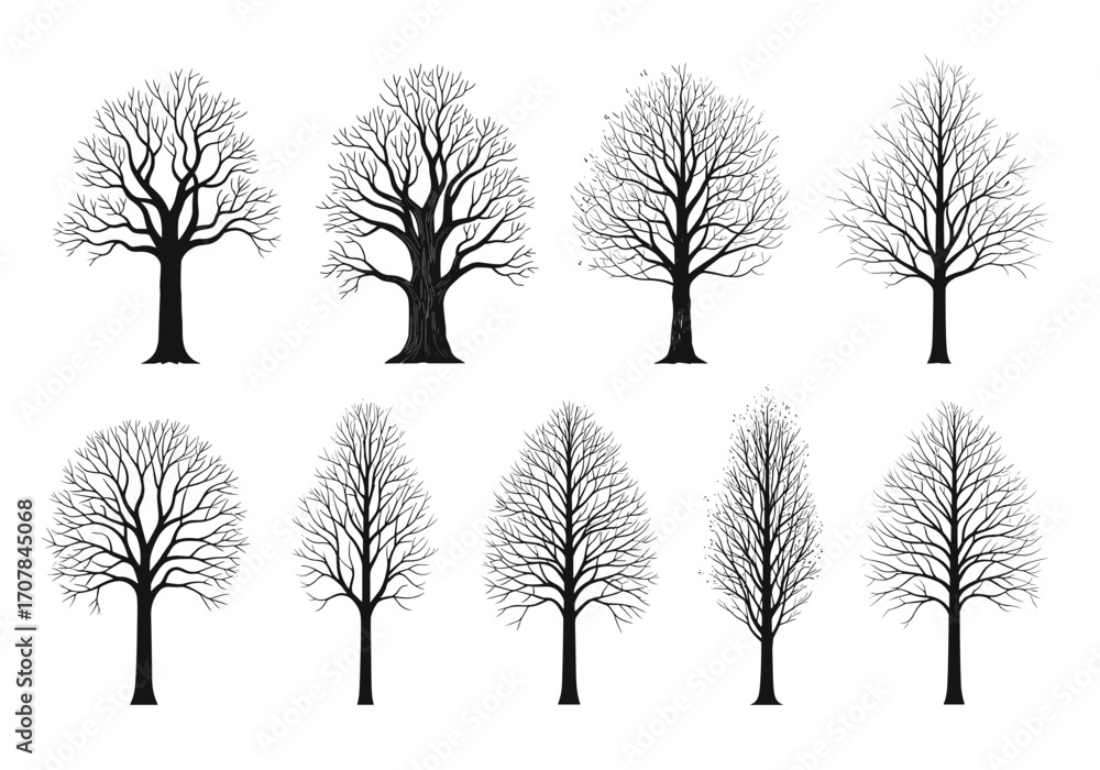 Fototapeta premium Eerie bare tree silhouettes on white offer stunning artistic autumn winter and seasonal design elements