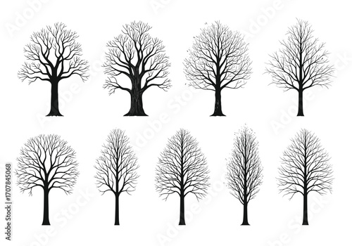 Eerie bare tree silhouettes on white offer stunning artistic autumn winter and seasonal design elements