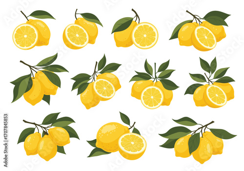 Fresh lemons on branches offer summer zest for healthy lifestyle or culinary designs and vibrant food themes