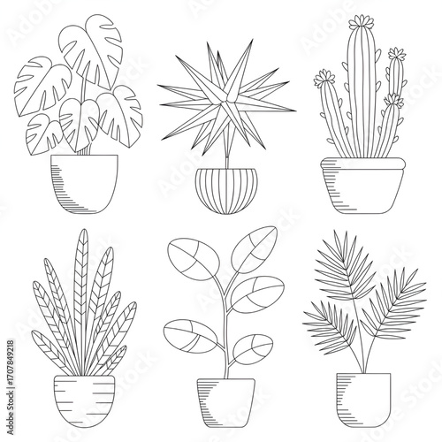 Line Art Potted Plants Illustration – Indoor Gardening, Houseplants, Nature, Botanical Decor, Greenery Coloring page