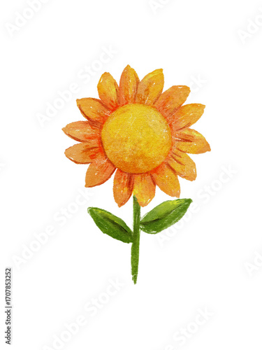 Watercolor Sunlit Sunflower, Simple Botanical Illustration