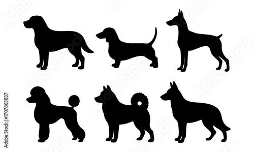 Diverse dog silhouettes for pet lovers and design projects