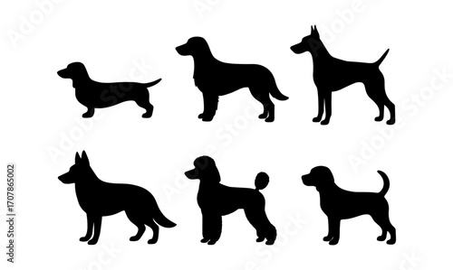 Dog breed silhouettes collection for canine enthusiasts and pet lovers design
