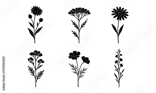 Military wildflower silhouettes for nature-inspired design and decoration projects