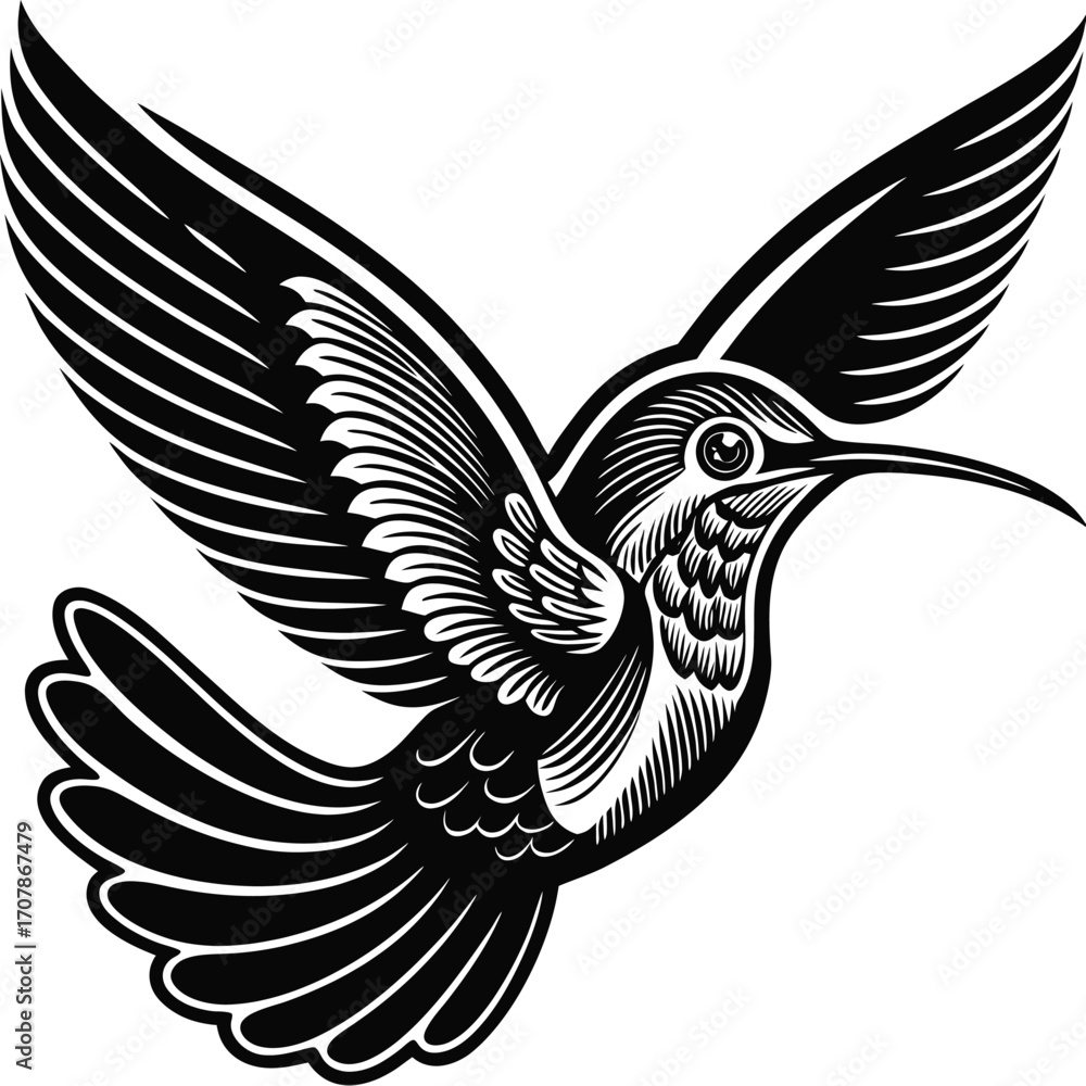 Obraz premium A bold black and white hummingbird illustration in flight, symbolizing freedom, grace, and beauty. Perfect for art lovers, tattoo inspiration, and unique decor styles.