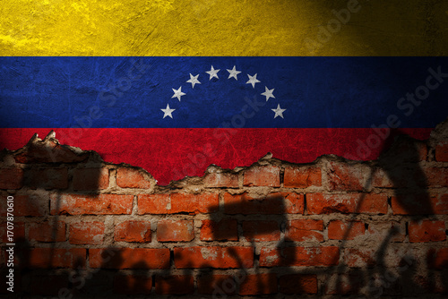Venezuela flag painting on brick wall and Protesters shadow