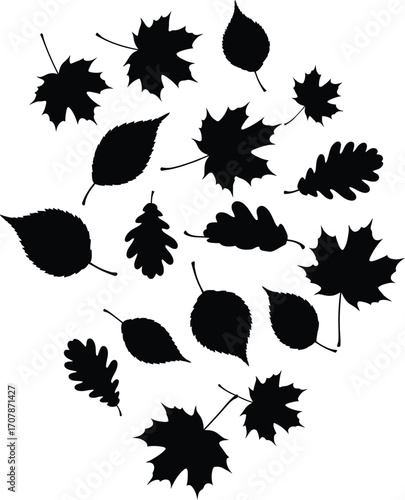 Autumn leaves silhouettes - Black and white flat vector set.