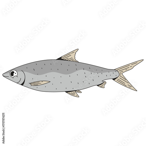 Milkfish animal underwater cartoon icon illustration