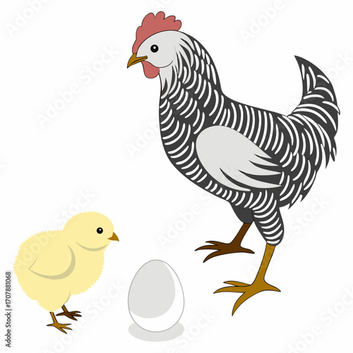 Hen, Egg and Chick Growth Cycle Concept – Life Stages of Chicken Isolated on White Background.