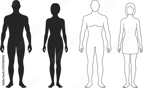 Human Body Silhouettes and Line Art – Male and Female Figures in Front View, Vector Illustration for Medical, Fitness, Anatomy, Health, Education, and Design Projects