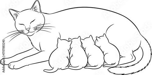 Mother cat nurses her four adorable kittens, creating a heartwarming scene of maternal love.