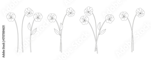 Set of pansy bouquets. Bunches of blooming wildflowers, perennial wild plants. Line art, minimal style, contour. Botanical hand-drawn elements for design projects. Vector illustration