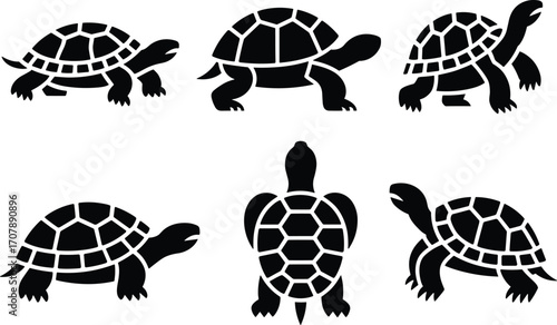 Turtle Silhouette Vector Set with Hexagon Shell Patterns – Unique Tortoise Icons in Black for Wildlife, Nature, Reptile, Marine, Educational, and Graphic Use
