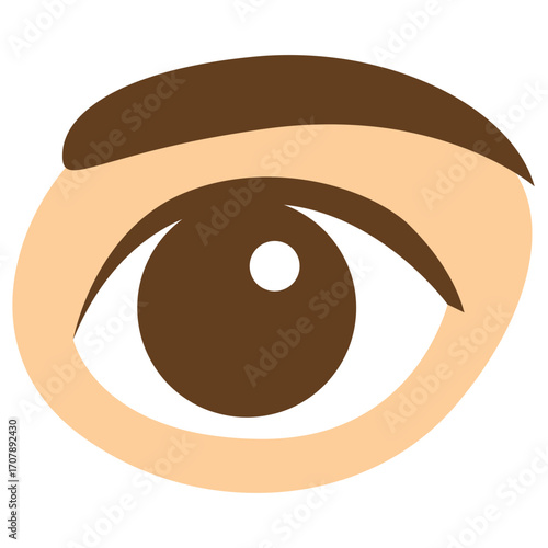 Brown human eye with iris and pupil, sensory organ illustration perfect for vision or anatomy education.