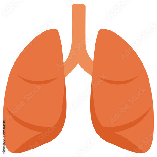 Orange human lungs with bronchial tree, respiratory organ illustration ideal for medical or biology education.

